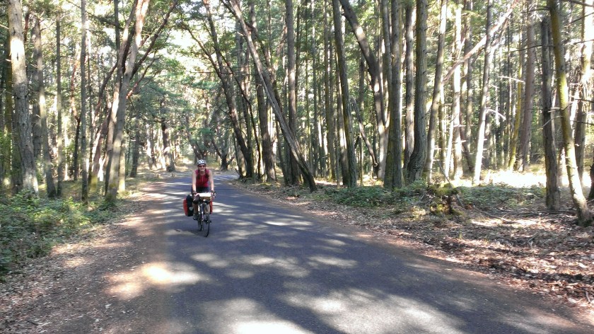Riding through trees