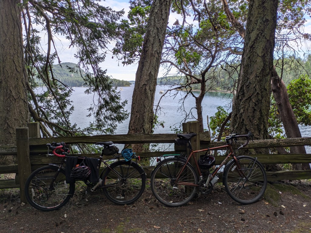 Bikes leaning against a fence with a view of water