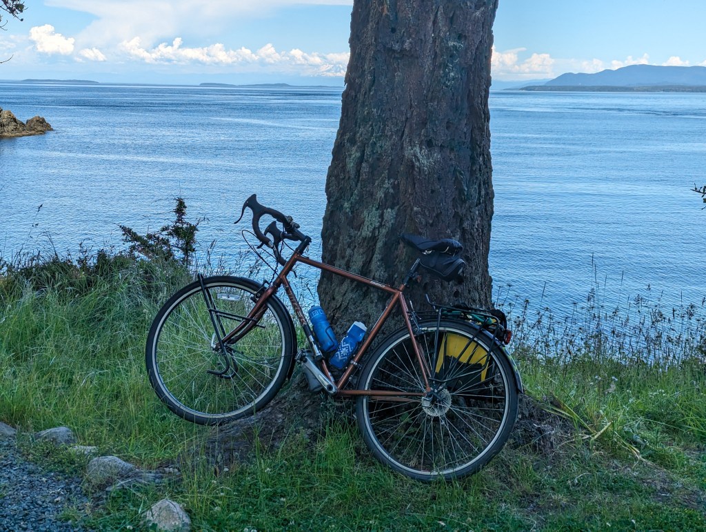 Bike leaning on a tree overlooking the ocean
